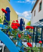 Bacchus Keller Griechisches Restaurant Bild 18