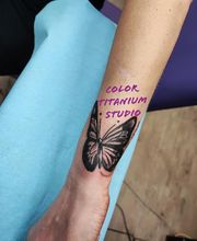 Color Titanium Studio image 5