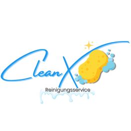 CleanX Schwamm
