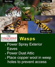 Integrated Pest Management, Inc. image 4