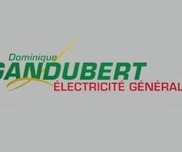 Gandubert Dominique image 6