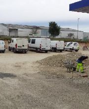 Shad Peinture image 11