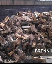 Baumdienst Schaller Bild 6