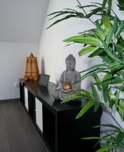 Micheli Christophe image 2