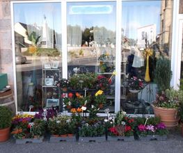 Arc En Fleurs image 1