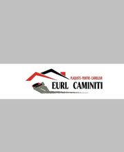 Caminiti image 7
