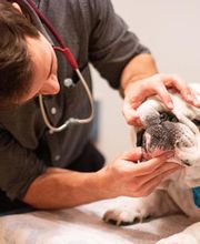 TotalBond Veterinary Hospital at Paw Creek image 6