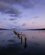 Accompagnement Guntert J.-F. pompes funèbres Bild 1