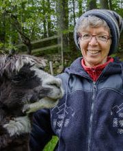 Alpaka Trekking Balmberg Tannenheim Bild 1