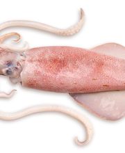 Pescados Goyo imagen 8