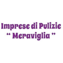 Impresa di Pulizie Meraviglia logo
