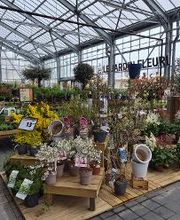 JARDILAND image 2