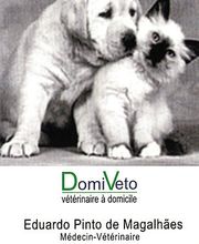 Pinto de Magalhaes Eduardo Bild 1