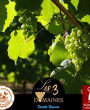 LES 3 DOMAINES image 5