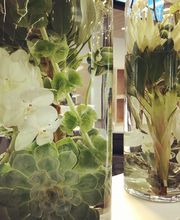 Rieder Fleurs Bild 13