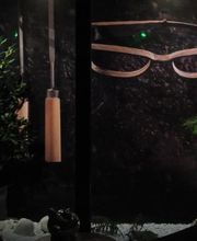 Colliaux Opticiens image 11