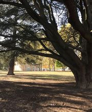 Kokon Immobilier image 8