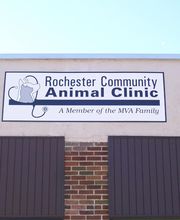 Rochester Community Animal Clinic image 1