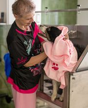 Lina, Hundert Prozent wau, Gesundheit, Training und Unterstützung für Hunde und ihre Menschen, Sandra Egli Bild 2