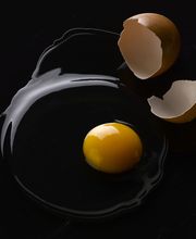 TRANSGOURMET BOURGOGNE image 9