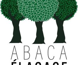 Abaca Elagage image 3