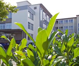 Beurer GmbH Bild 1