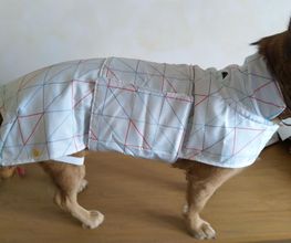 Kleine Liebelein Bild 16