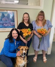 Crossfield Heating & Air Conditioning image 10