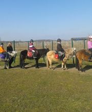 Reiten mit Achtsamkeit Angelika Rose Bild 4