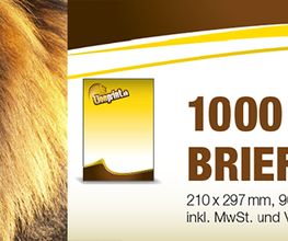 Lionprint.ch Bild 4