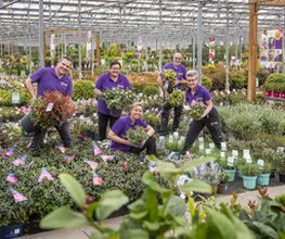 Plantencentrum Velden afbeelding 12