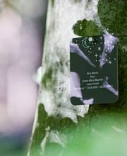 Eine Namenstafel kann auf die Grabstätte im Wald aufmerksam machen.