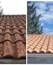 BERNARD MULTI SERVICES image 8