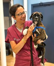 ClinicVet Vétérinaire Etrépagny image 3