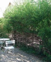 Fabian Klaus Gartenbau Bild 4