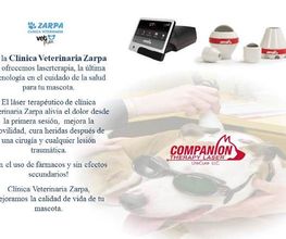 clinica-veterinaria-zarpa-laserterapia-2.jpg