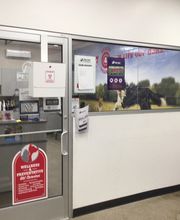 Tractor Supply Co. image 1