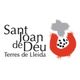 santjoandedeuterresdelleida.jpg