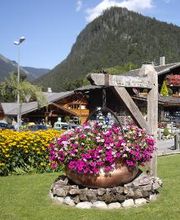 jardinerie delbard image 2