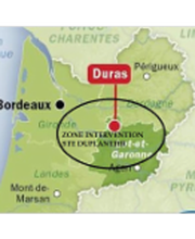 Societé de Téléphonie Bordelaise Duplantier image 16