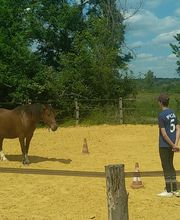 Les Poneys de Monthoiron image 20