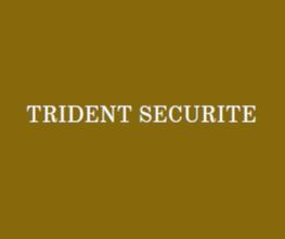 Trident Securite image 3