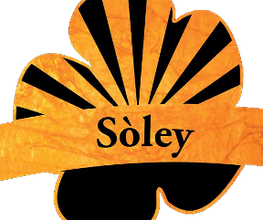 Soley Catering Leipzig Bild 2