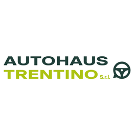 Auto Haus Trentino logo