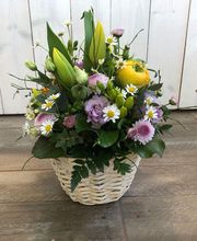 Atelier Rägäbogä Bild 6