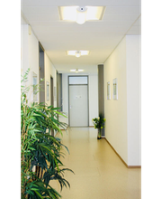 Dehling Markus Bild 3