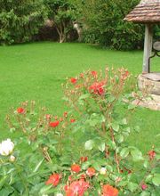 Lb Espaces Verts image 1