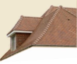 Chauvin Stéphane image 1