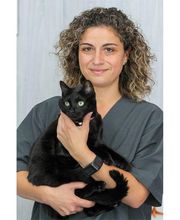 Veterinario Alcorcón imagen 8