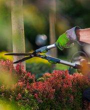 OESCH Gartenbau AG Bild 4